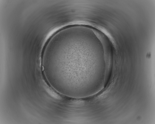 X0000092301372200709141311