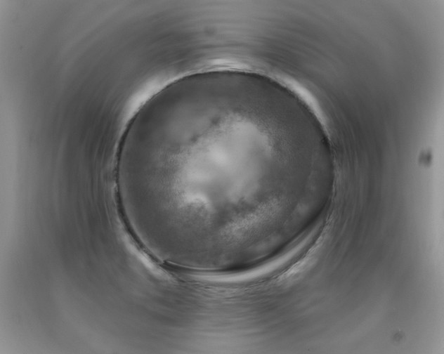 X0000092301373200709141311