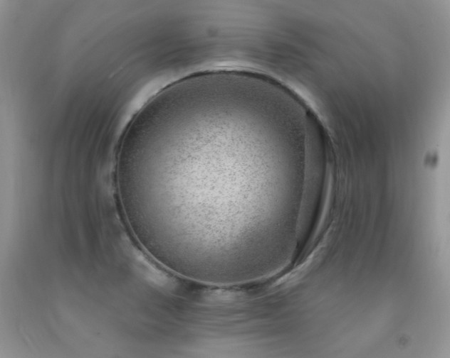 X0000092301374200709141311