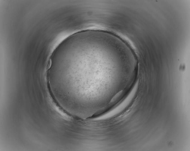 X0000092301375200709141311