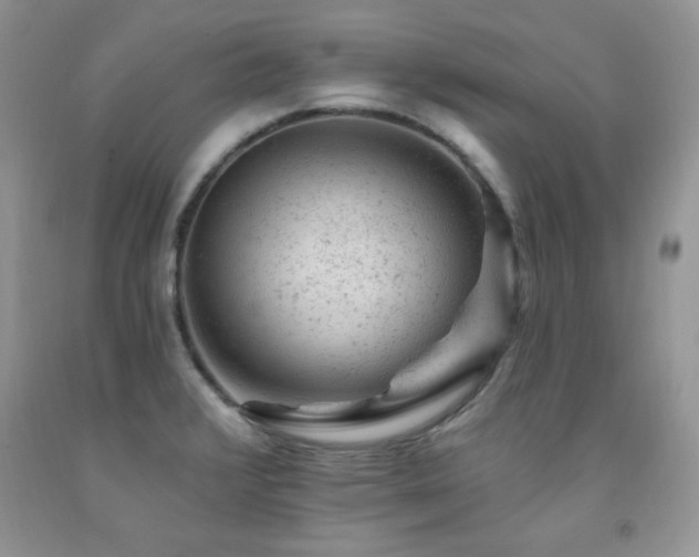 X0000092301376200709141311