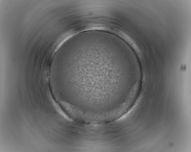 X0000092301377200709141311