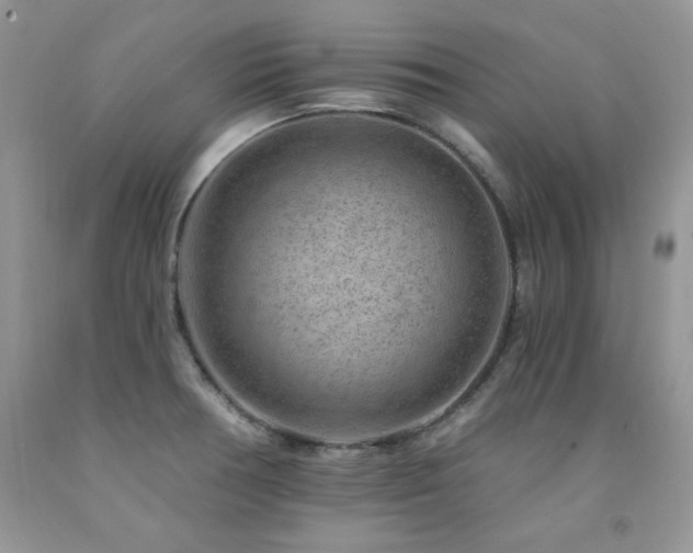 X0000092301378200709141311