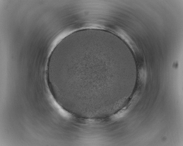 X0000092301379200709141311