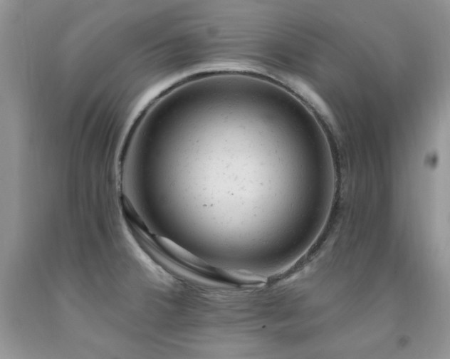 X0000092301380200709141311