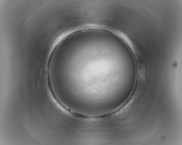 X0000092301381200709141311