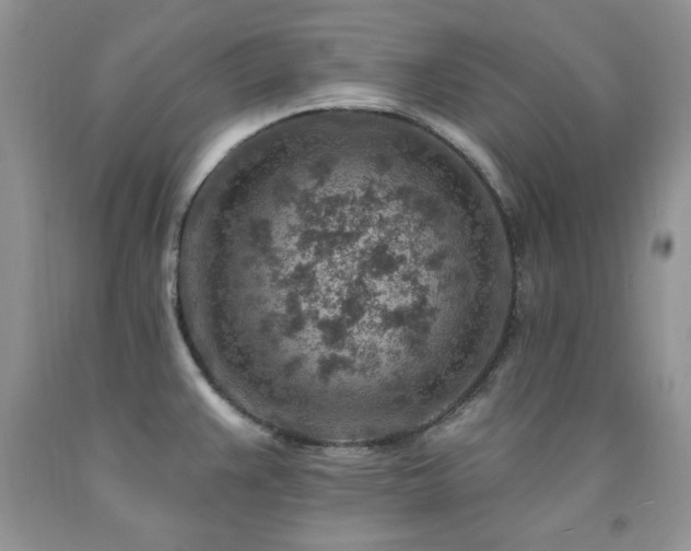 X0000092301383200709141311