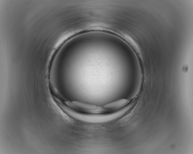 X0000092301384200709141311