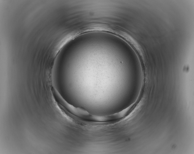 X0000092301385200709141311
