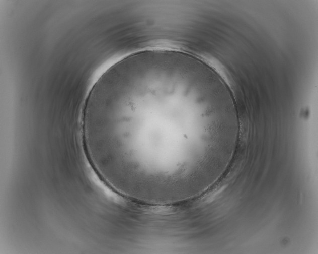 X0000092301387200709141311