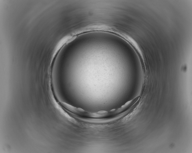 X0000092301389200709141311