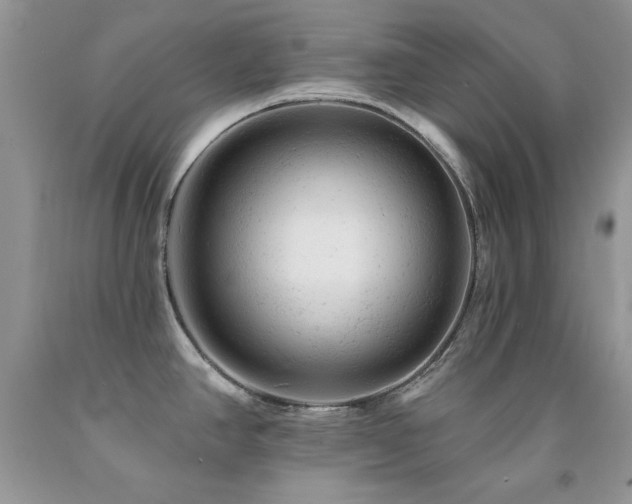 X0000092301390200709141311