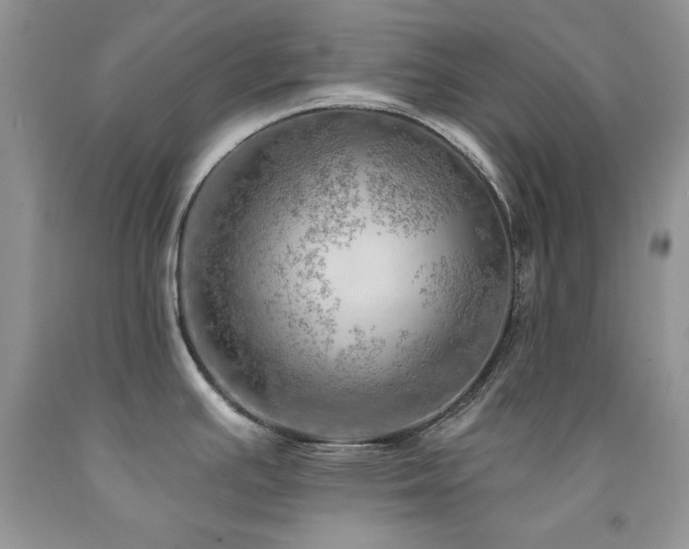 X0000092301391200709141311