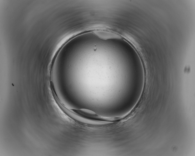 X0000092301392200709141311