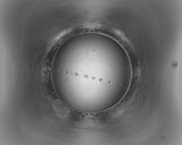 X0000092301398200709141310