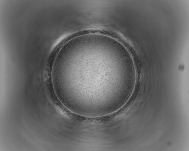 X0000092301400200709141310