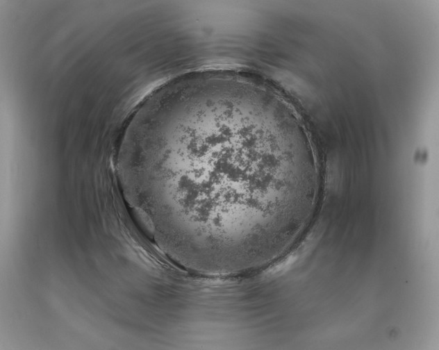X0000092301401200709141310