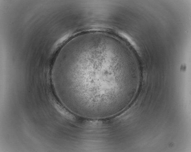 X0000092301403200709141310