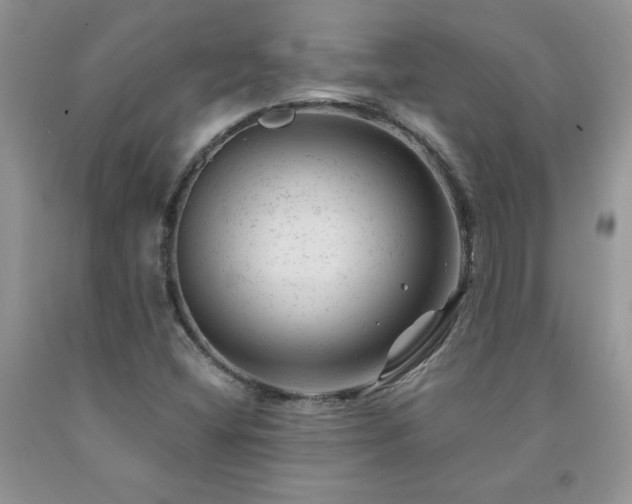 X0000092301404200709141310