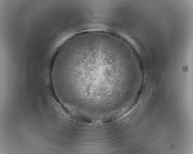 X0000092301407200709141310