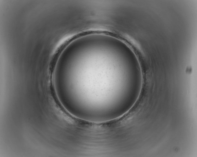 X0000092301408200709141310