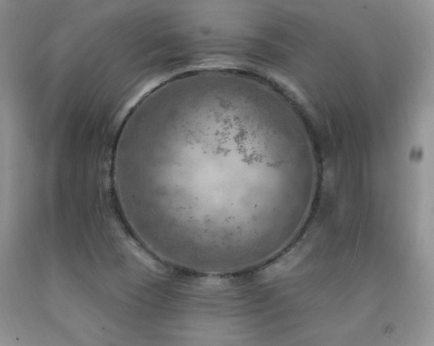 X0000092301409200709141310