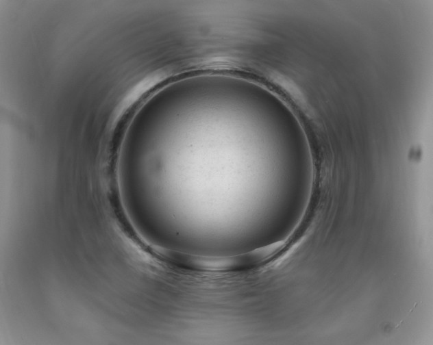 X0000092301410200709141310