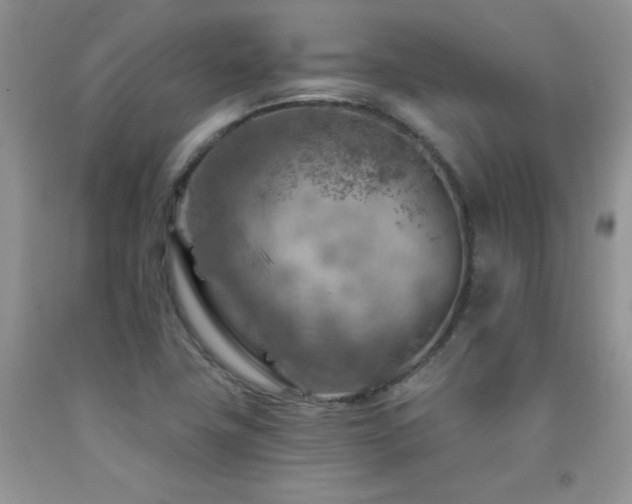 X0000092301411200709141310