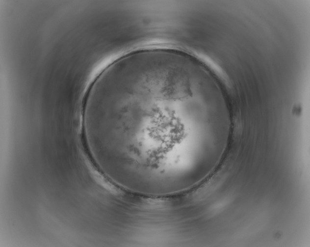 X0000092301413200709141310