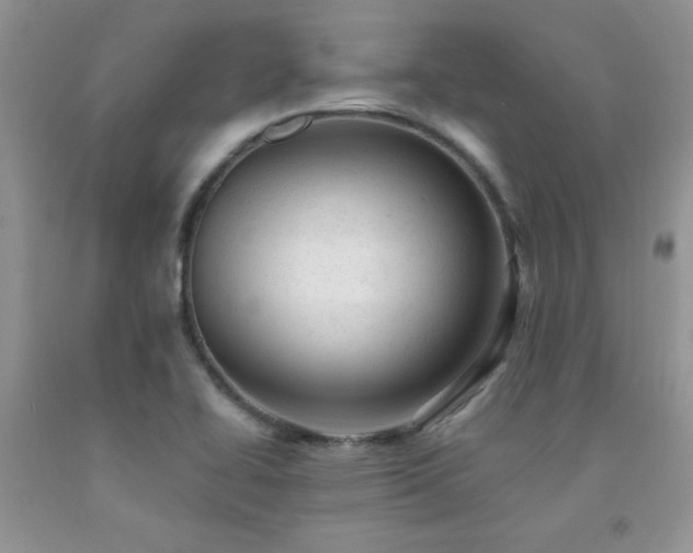 X0000092301414200709141310