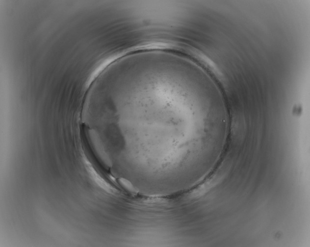 X0000092301417200709141310