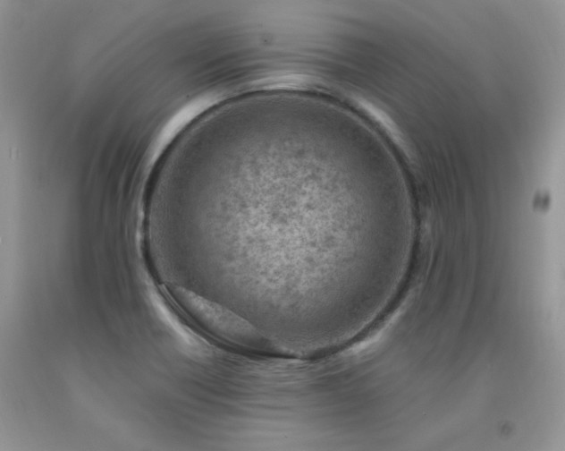 X0000092301418200709141310