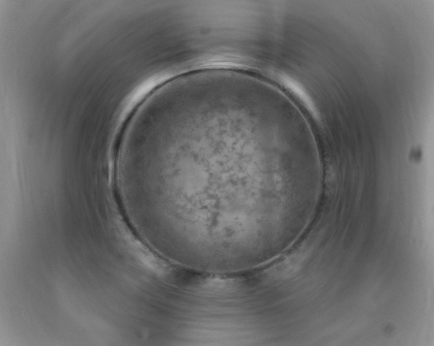 X0000092301419200709141310