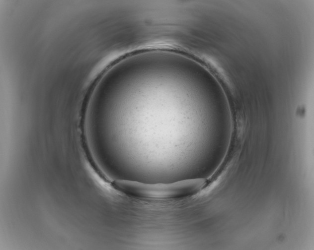X0000092301422200709141311
