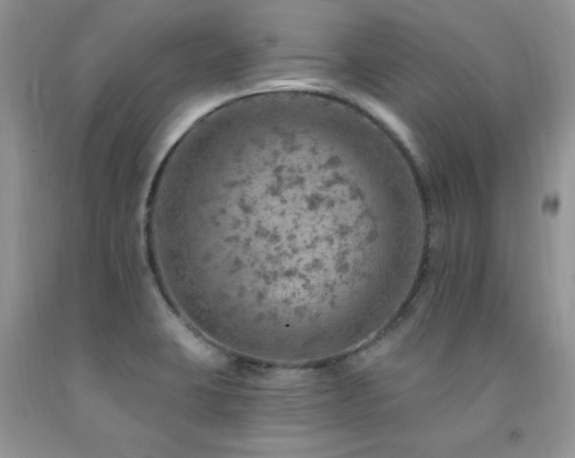X0000092301423200709141311