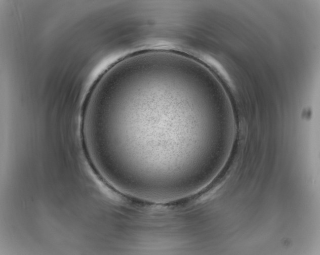 X0000092301424200709141311