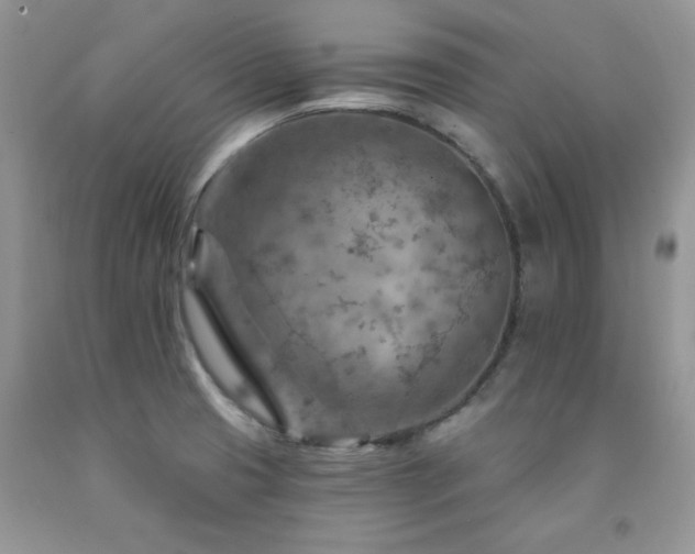 X0000092301425200709141311