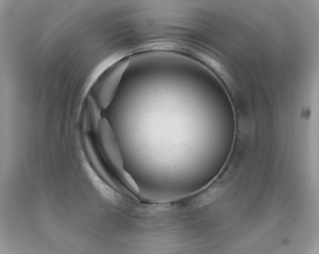 X0000092301426200709141311