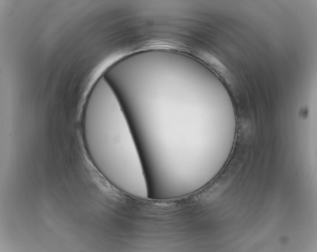 X0000092301427200709141311