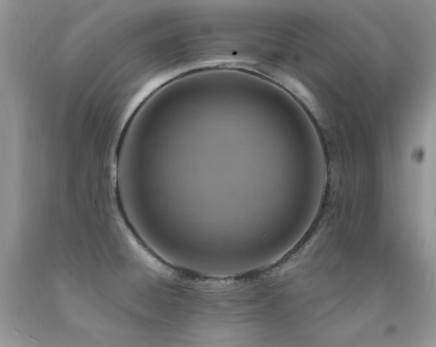 X0000092301428200709141311