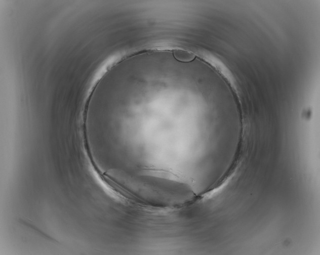 X0000092301429200709141311