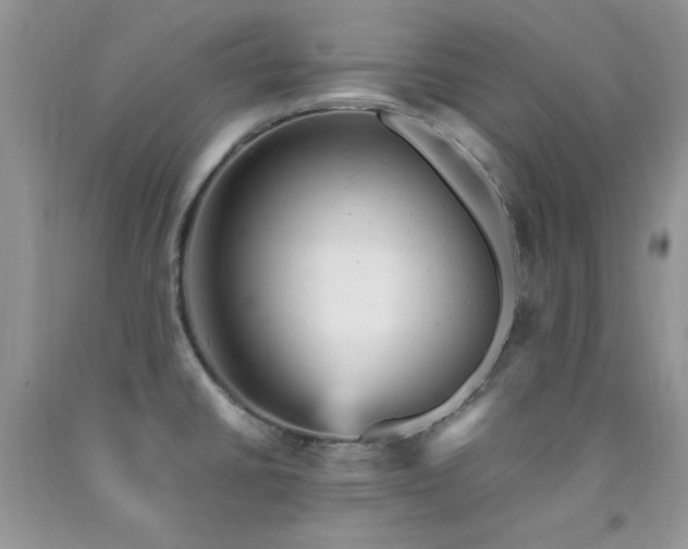 X0000092301430200709141311
