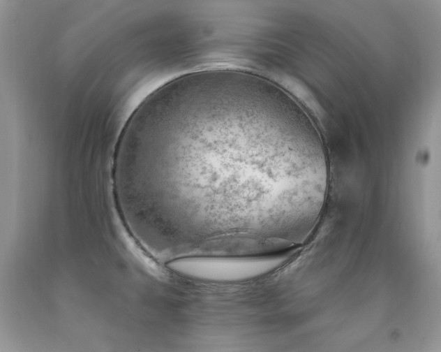 X0000092301431200709141311