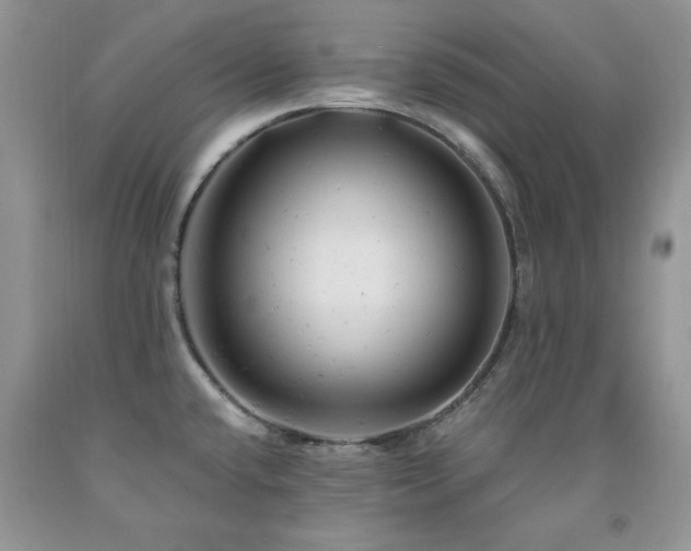 X0000092301432200709141311