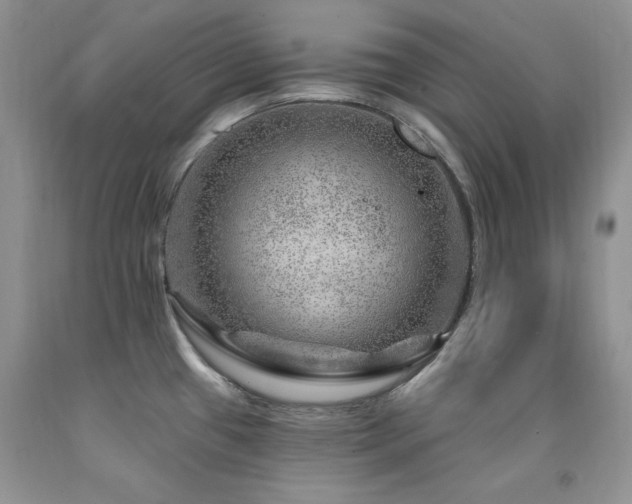 X0000092301433200709141311