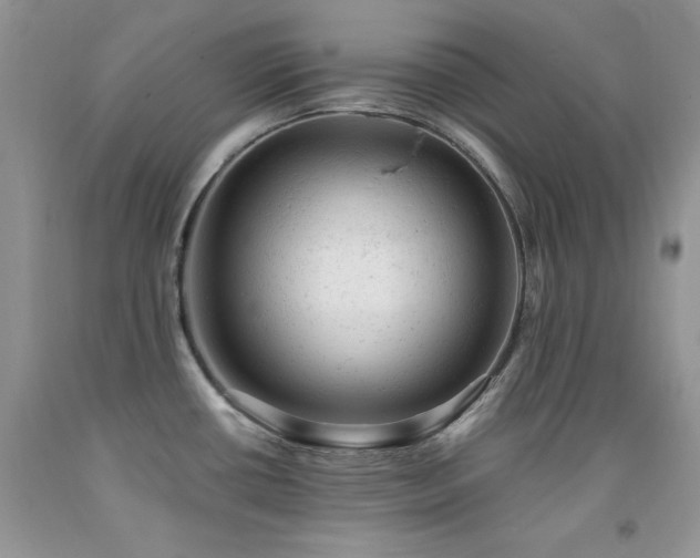 X0000092301434200709141311