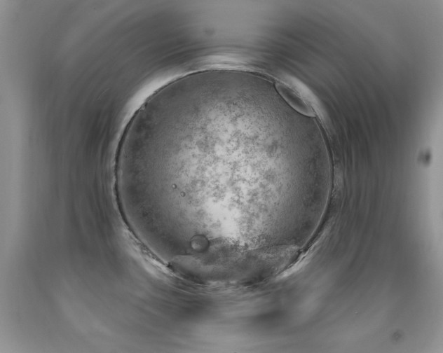 X0000092301435200709141311