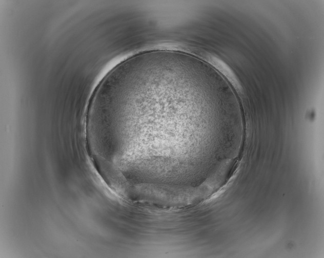 X0000092301436200709141311