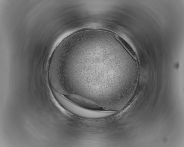 X0000092301437200709141311