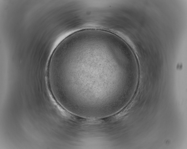 X0000092301440200709141311